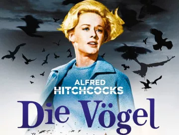 Die-Voegel-Newslogo.webp