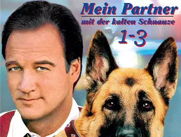 Mein-Partner-mit-der-kalten-Schnauze-Newslogo.webp Mein-Partner-mit-der-kalten-Schnauze-Newslogo.webp