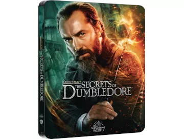 Phantastische-Tierwesen-Dumbledores-Geheimnisse-4K-Steelbook-Amazon-IT-exklusiv-Newslogo.webp