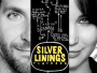 US-Dramödie "Silver Linings" für nur 12,30 EUR auf Blu-ray Disc