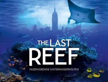 The-Last-Reef-Newslogo.webp The-Last-Reef-Newslogo.webp