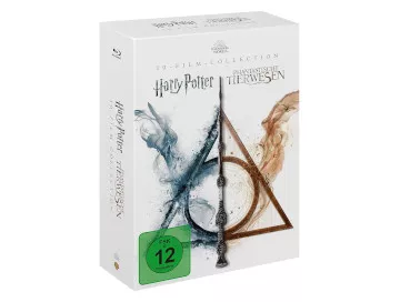 Wizarding-World-10-Film-Collection-Newslogo.webp