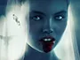 darlin_news.webp