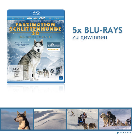 5x Faszination Schlittenhunde 3D - Das große Rennen (Blu-ray 3D) zu gewinnen
