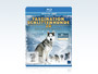 Teaser-Faszination-Schlittenhunde-3D-GWS_klein.webp Teaser-Faszination-Schlittenhunde-3D-GWS_klein.webp