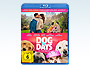 Teaser-dog-days-herz-hund-happy-end-GWS_klein.webp