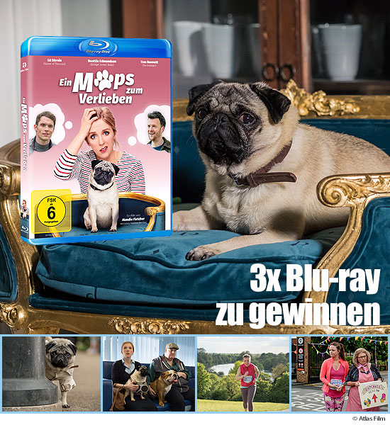 Verlosung: 3x Bluray
