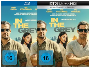 Teaser-in-the-grey-GWS_klein.webp