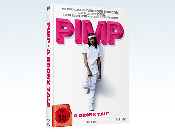 Teaser-pimp-GWS_klein.webp Teaser-pimp-GWS_klein.webp