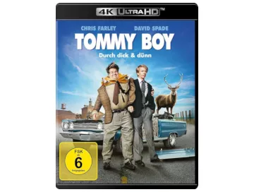 Teaser-tommy-boy-4k-GWS_klein.webp