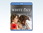 Teaser-white-lily-GWS_klein.webp