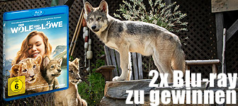 webseiten-banner-wolf-und-löwe-GWS.jpg