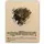 Inception-Premium-Collection-Produkt-04_klein.webp