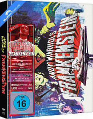 andy-warhols-frankenstein-4k-limited-mediabook-edition-cover-a-4k-uhd---blu-ray-3d---blu-ray-galerie1-neu_klein.jpg