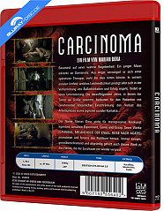 carcinoma-2014-at-import2_klein.jpg