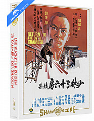 die-36-kammern-der-shaolin---die-rueckkehr-zu-den-36-kammern-der-shaolin---die-erben-der-36-kammern-der-shaolin-limited-mediabook-edition-cover-a-blu-ray---dvd-galerie3_klein.jpg