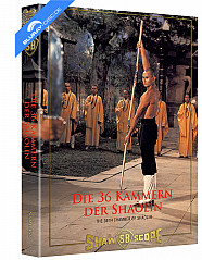 die-36-kammern-der-shaolin-limited-mediabook-edition-cover-b-blu-ray---dvd-galerie_klein.jpg