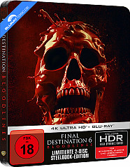 final-destination-6-bloodlines-4k-limited-steelbook-edition-cover-skull-4k-uhd---blu-ray-galerie_klein.jpg