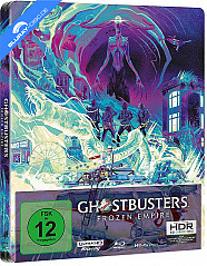 ghostbusters-frozen-empire-4k-limited-steelbook-edition-4k-uhd---blu-ray-cover-a-gesamt_klein.jpg