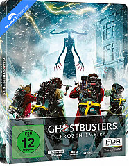 ghostbusters-frozen-empire-4k-limited-steelbook-edition-4k-uhd---blu-ray-cover-b-gesamt_klein.jpg