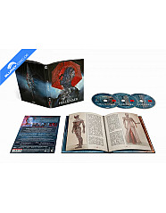 hellraiser---das-schloss-zur-hoelle-4k-limited-mediabook-edition-cover-a-4k-uhd---blu-ray---bonus-blu-ray-galerie2_klein.jpg