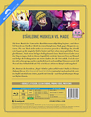 mashle-magic-and-muscles---staffel-2---vol.-2-back_klein.jpg