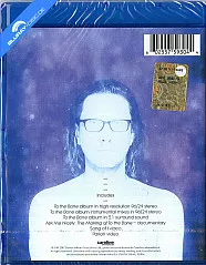 steven-wilson---to-the-bone-back_klein.webp