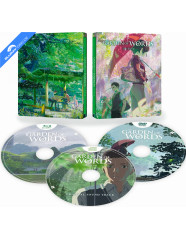 the-garden-of-words-edition-boitier-steelbook-fr-import-overview_klein.jpg