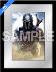 the-mandalorian-the-complete-first-season-amazon-exclusive-limited-graph-edition-steelbook-jp-import-graph_klein.jpg