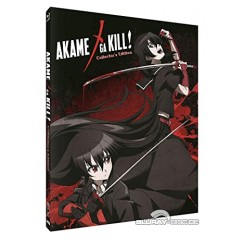 -akame-ga-kill-complete-collection---steelbook-region-a---ca-import-ohne-dt.-ton.jpg