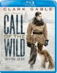 Call of the Wild (1935) (US Import ohne dt. Ton) Blu-ray