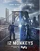 12 Monkeys: Season Two (Blu-ray + UV Copy) (UK Import ohne dt. Ton) Blu-ray