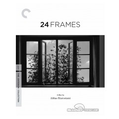 24-frames-criterion-collection-us.webp