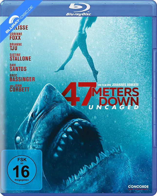 47-meters-down-uncaged-neu.webp