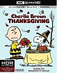 A Charlie Brown Thanksgiving 4K (4K UHD + Blu-ray + UV Copy) (US Import ohne dt. Ton) Blu-ray