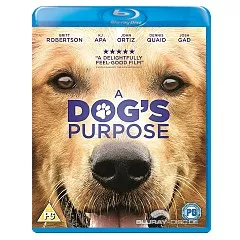 A-Dogs-Purpose-UK.webp