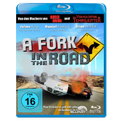 A-Fork-in-the-Road-2010.jpg
