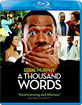 A Thousand Words (2012) (Blu-ray + UV Copy) (US Import ohne dt. Ton) Blu-ray
