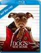 A Dog's Way Home (Blu-ray + Digital Copy) (UK Import ohne dt. Ton) Blu-ray