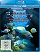 Abenteuer Bahamas 3D - Mysteriöse Höhlen und Wracks (Blu-ray 3D) - OVP