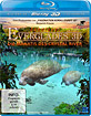 Abenteuer Everglades 3D - Die Manatis des Crystal River (Blu-ray 3D)