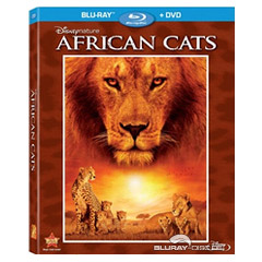 African-Cats-US.jpg