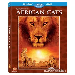 African-Cats-US.webp