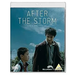 After-the-storm-2016-UK-Import.webp