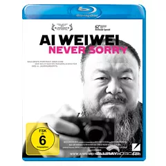 Ai-Weiwei-Never-sorry.webp