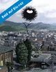 Aku no Hana: Die Blumen des Bösen - Vol. 1 Blu-ray