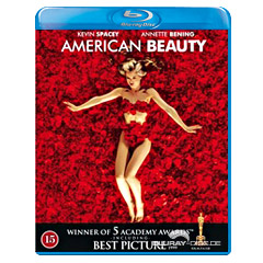 American-Beauty-DK.jpg
