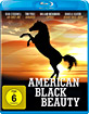 American Black Beauty Blu-ray
