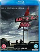 American Gods: Season One (UK Import) Blu-ray