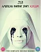 American Horror Story - Season 2 (Asylum) (UK Import ohne dt. Ton) Blu-ray